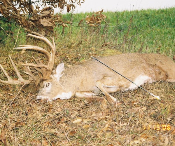 OUTFITTER 1 deer pictures 001.jpg